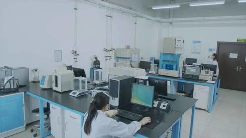 有研集团国家动力电池质检中心 以专业定制化服务创新驱动北京技术服务业升级